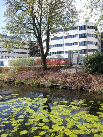 Deze foto gemaakt vanaf bankje bij eendjes,hier kijken we naar onze "(vrouwen)vleugel"